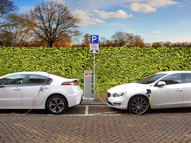 hybrid